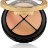 Milani Conceal Perfect All-In-One Concealer Kit